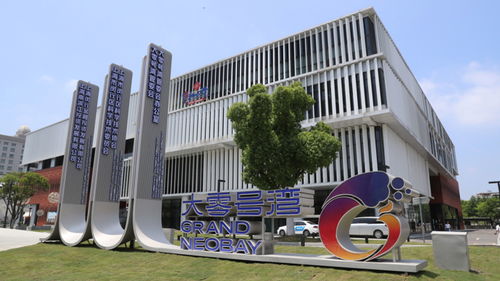 上海市政府常務(wù)會(huì)議部署“大零號(hào)灣”建設(shè)與職務(wù)科技成果權(quán)屬改革，加速技術(shù)開發(fā)新篇章